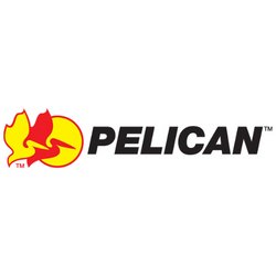Pelican Pelican